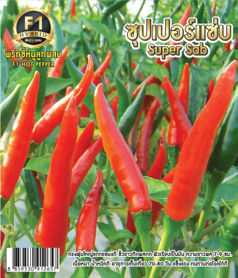วิธีการปลูกพริก ซุปเปอร์แซ่บ