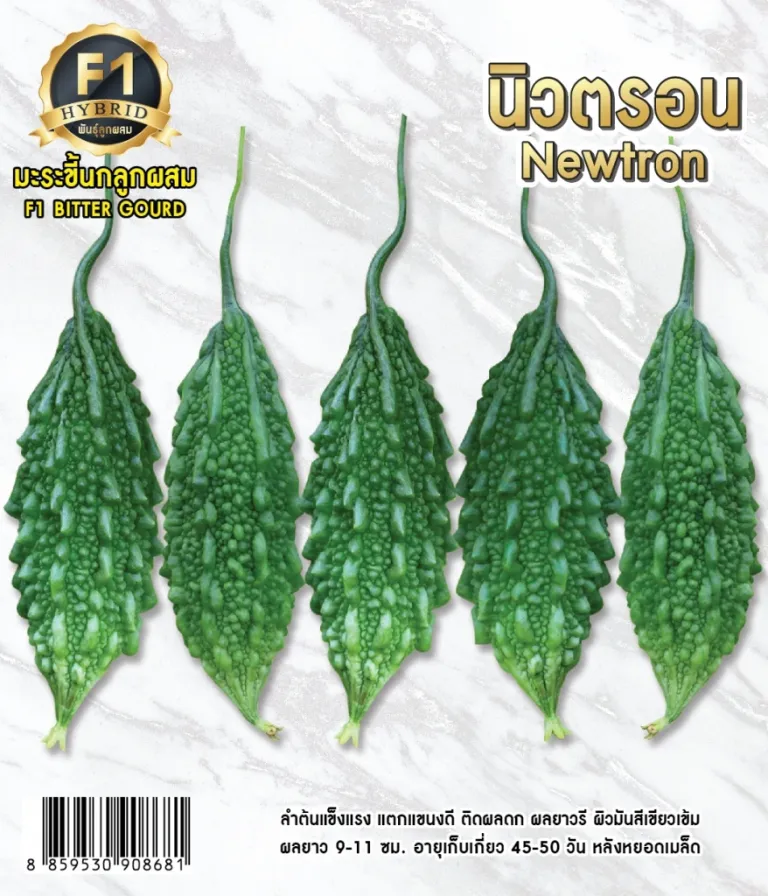 วิธีการปลูกมะระขี้นก นิวตรอน