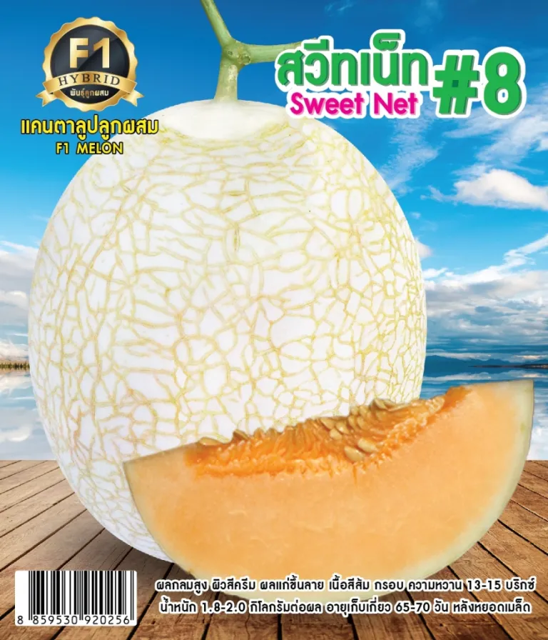 แคนตาลูป สวีทเน็ท#8
