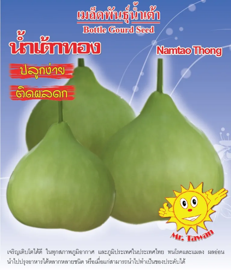 วิธีการปลูกน้ำเต้าทอง