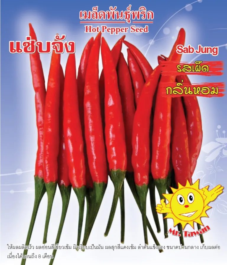 วิธีการปลูกพริก แซ่บจัง