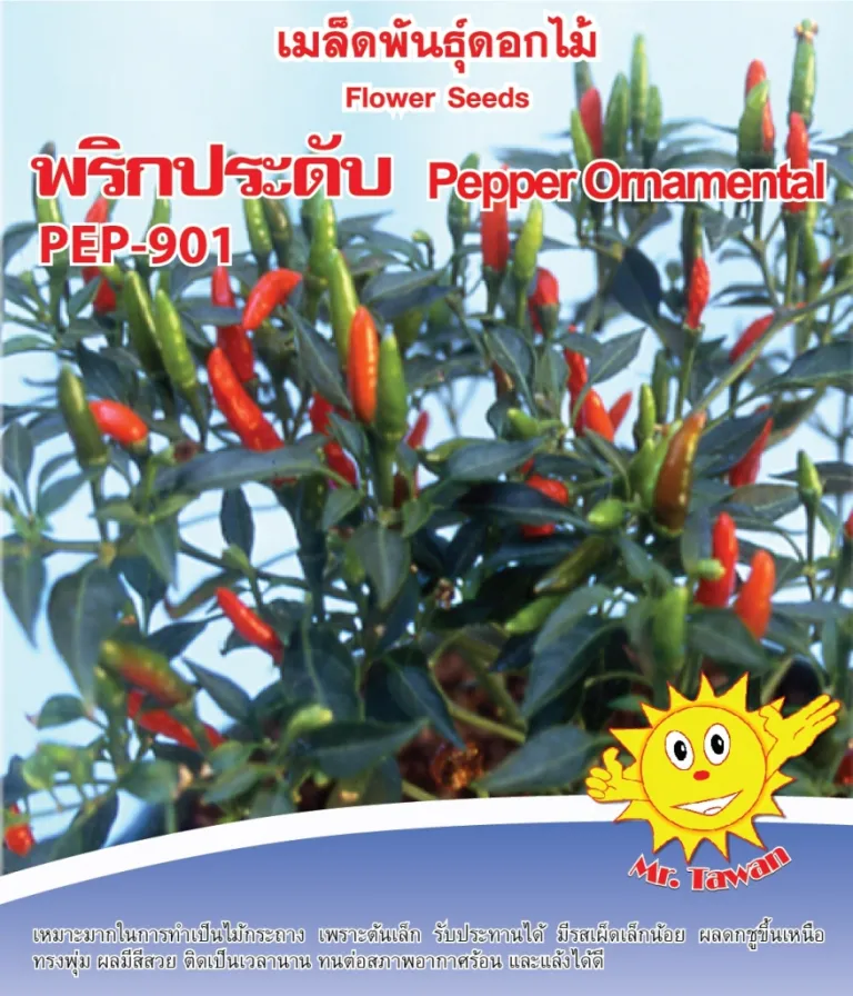 วิธีการปลูกพริกประดับ PEP-901