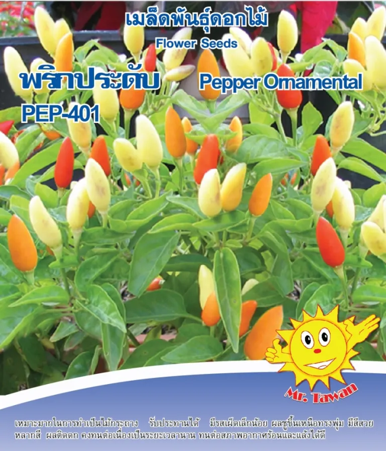 วิธีการปลูกพริกประดับ PEP-401