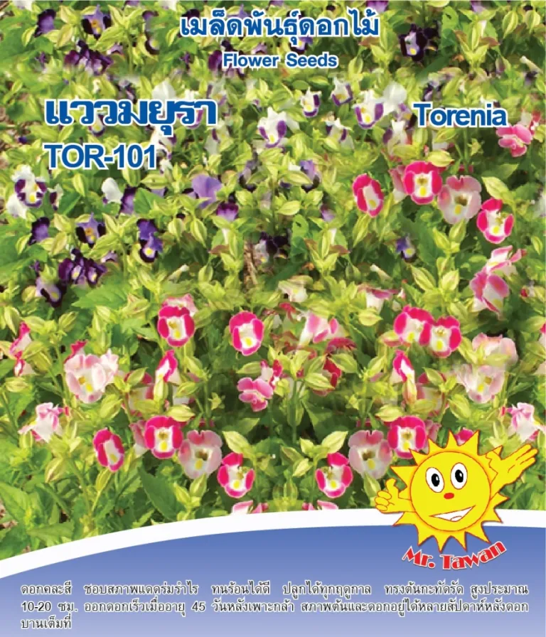 วิธีการปลูกดอกแววมยุรา TOR-101