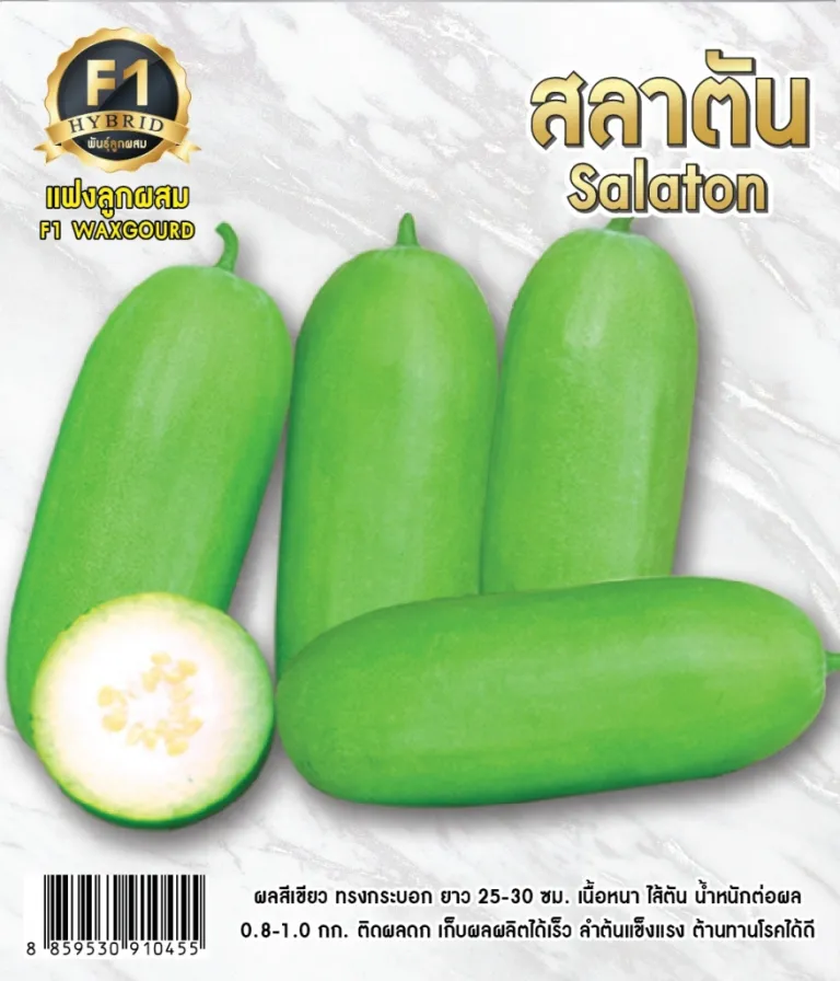 วิธีการปลูกแฟง สลาตัน