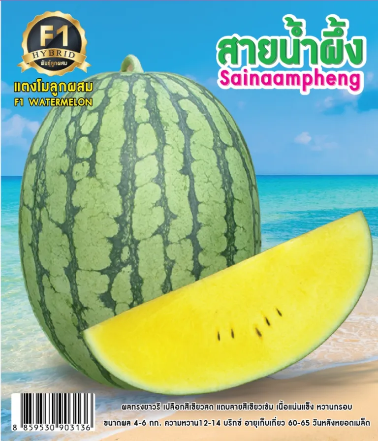 วิธีการปลูกแตงโม สายน้ำผึ้ง ให้ได้ผลผลิตดี