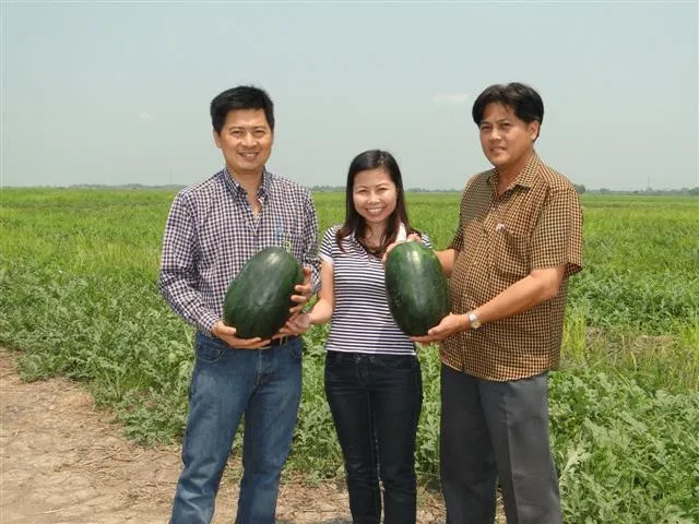 Trial and Evaluation 2011