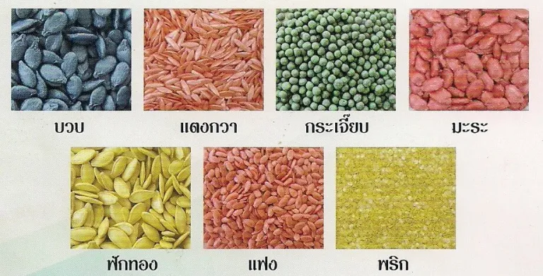 การเคลือบเมล็ดพันธุ์ Seed Coating Technology