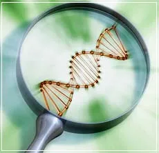 การปรับปรุงพันธุ์พืช Plant Breeding