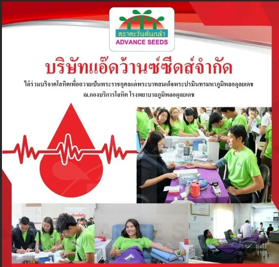 บริจาคเลือด ณ กองบริการโลหิต โรงพยาบาลภูมิพลอดุลยเดช