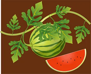 How to Grow Watermelons