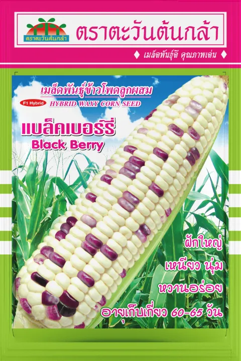 แบล็คเบอร์รี่