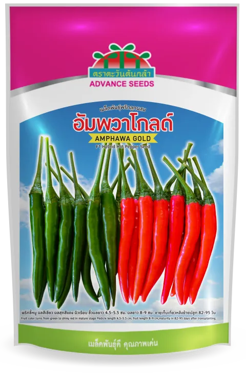 Amphawa Gold