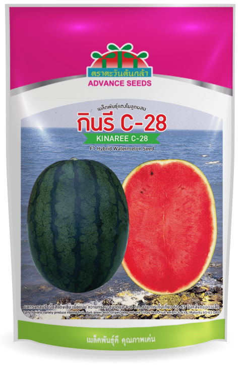 กินรี C-28
