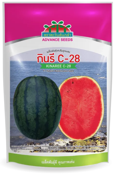 กินรี C-28