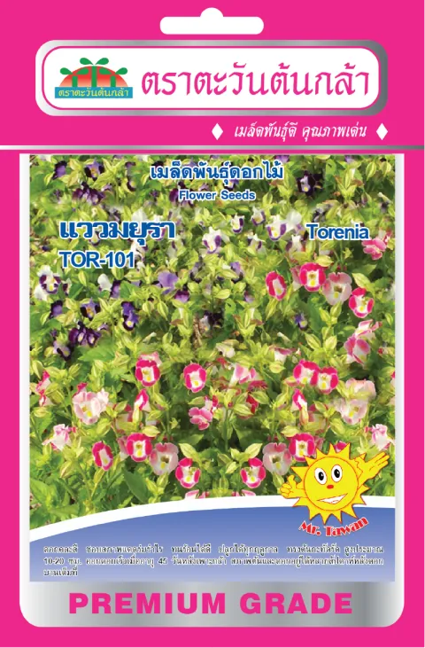 Torenia TOR-101