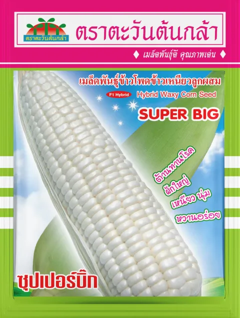 ซุปเปอร์บิ๊ก