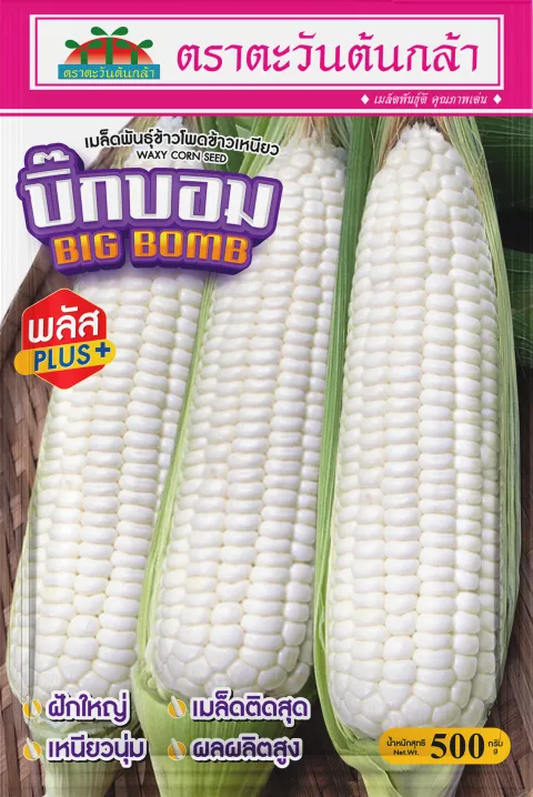 บิ๊กบอม