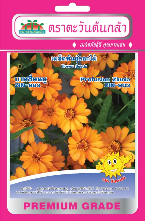 Zinnia ZIN-903