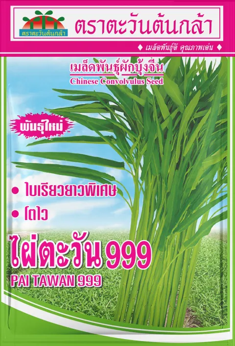 ไผ่ตะวัน 999