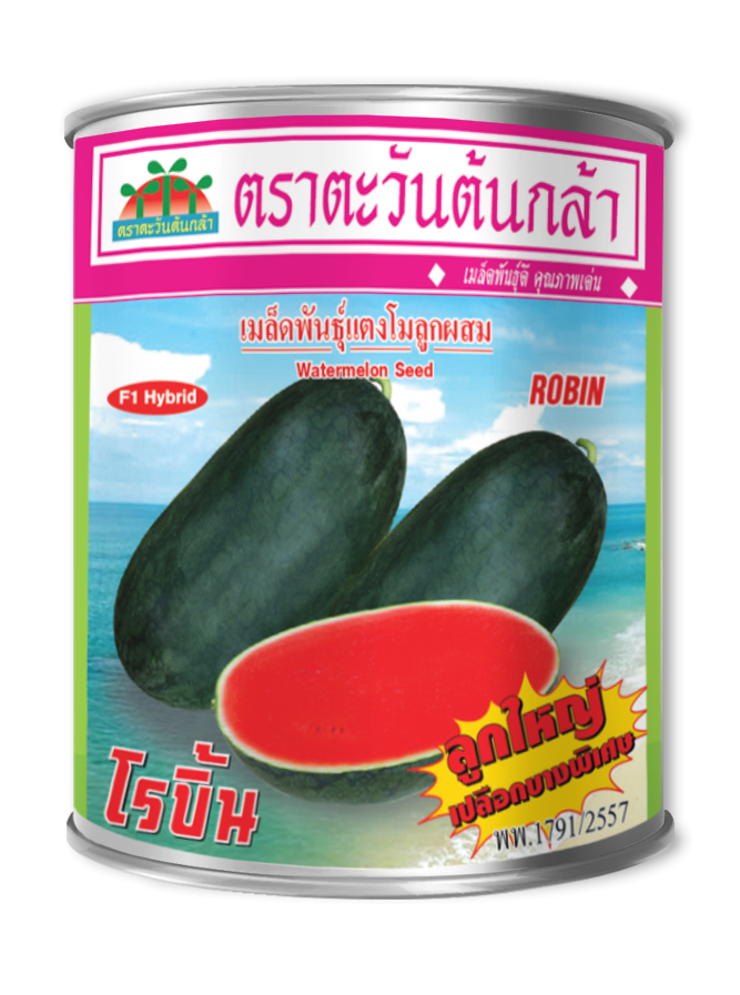 image โรบิ้น #02
