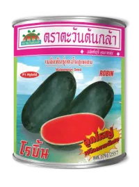 โรบิ้น #02