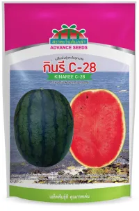 เมล็ดพันธุ์กินรี C-28 F1
